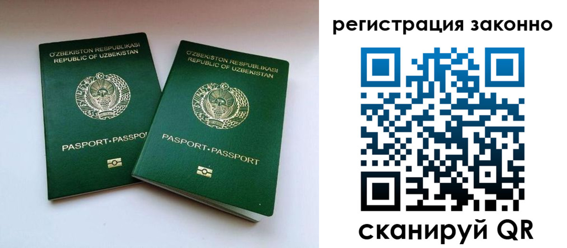 прописка гарантия в Тавде